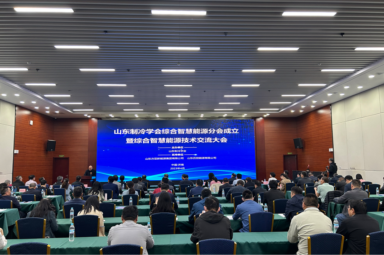 LD体育(上海)集团股份有限公司成立综合智慧能源分会